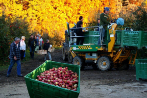 Diploma, Obiralci, Štefan Žemva